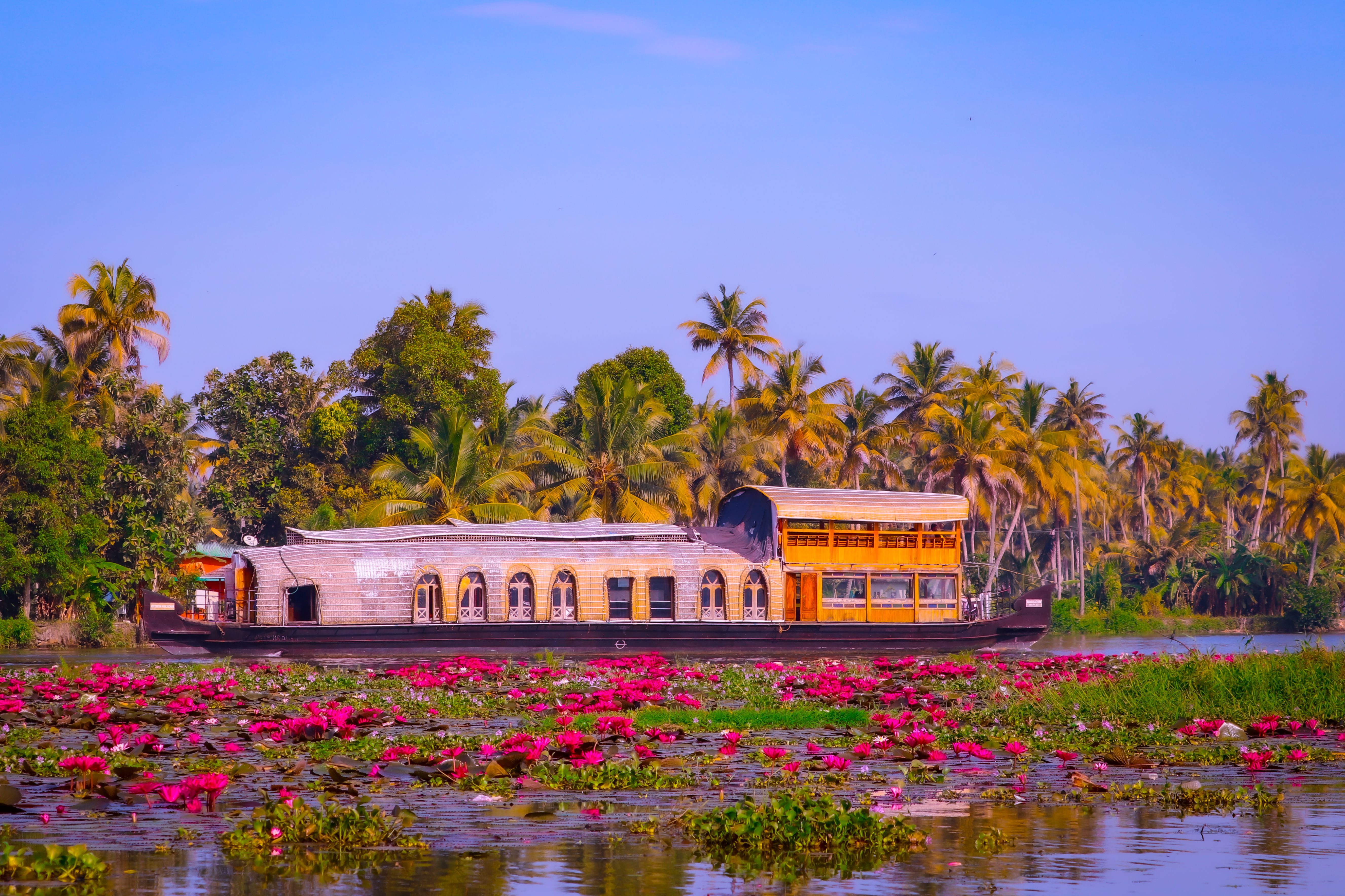 Drifting Through the Backwaters: A Houseboat Experience in Alappuzha